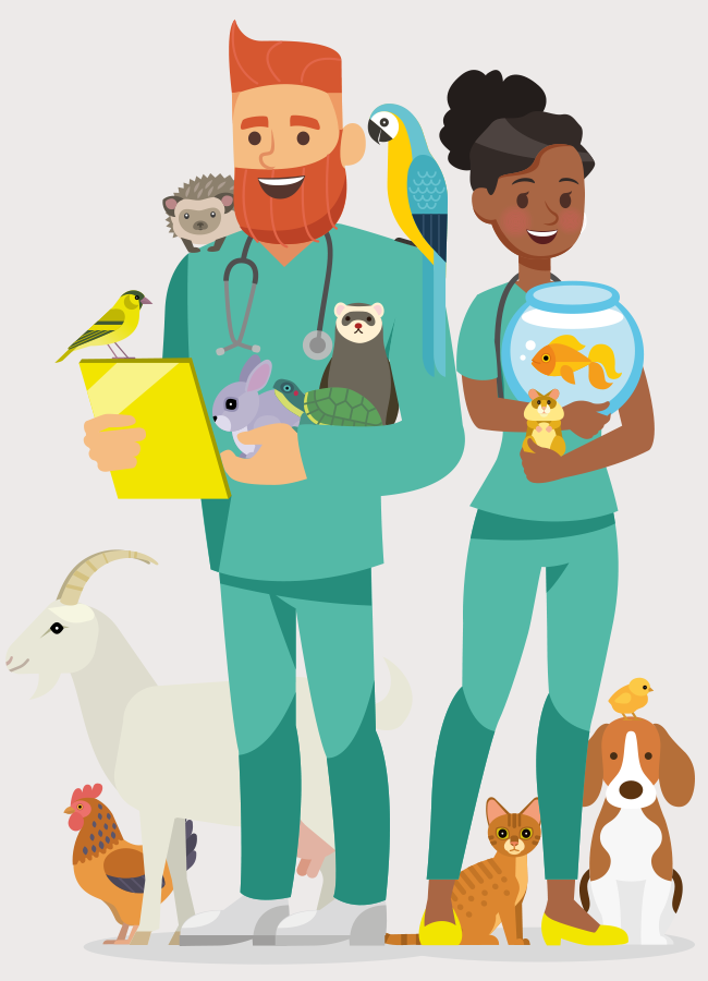 Cabinets et cliniques vétérinaires